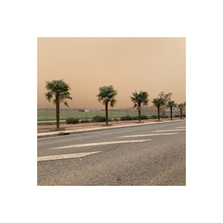 Lluvia de Barro (Photographic Project) - 4
