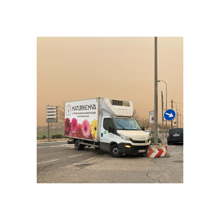 Lluvia de Barro (Photographic Project) - 3