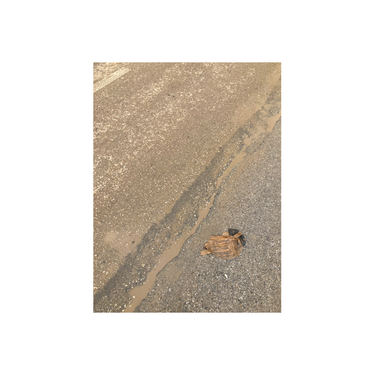 Lluvia de Barro (Photographic Project) - 4